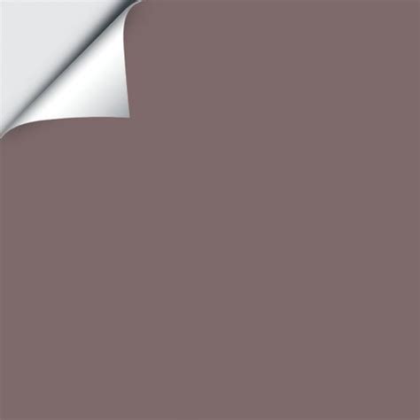 Patchwork Plum 0022 12 X12 Paint Colors For Home House Colors