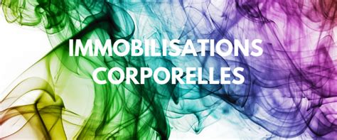 Immobilisations Corporelles Ce Que Vous Devez Savoir Mihfada