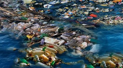 Défi Technologique 88 De La Surface Des Océans Sont Pollués Par Des