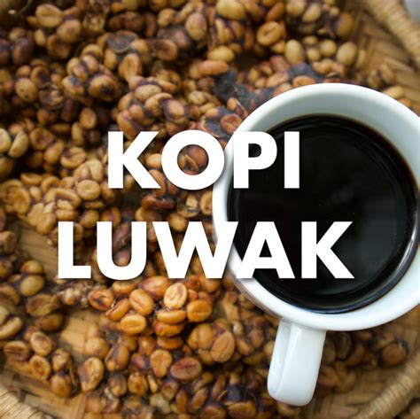 kopi-luwak-coffee_grande.png?v=1657026329