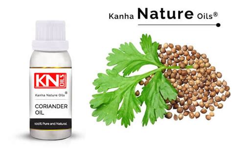 Coriander Oil Kanha Nature Oils Natural Essential Oil