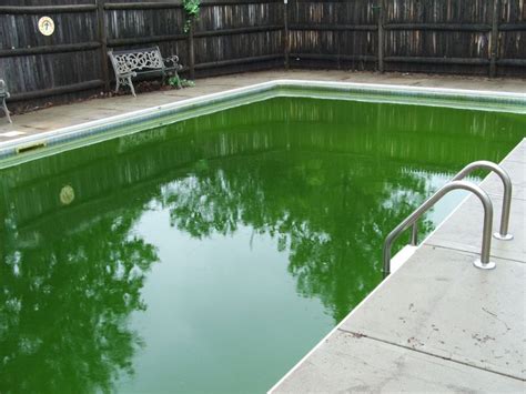 Why Is My Pool Still Green Even Though Chlorine Is High? 3 Reasons