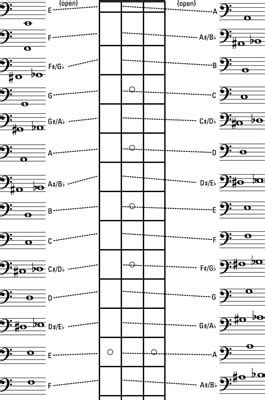 Israbi: Bass Guitar Fretboard Notes