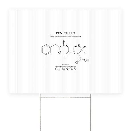 penicillin: Chemical structure and formula Yard Si by atamas