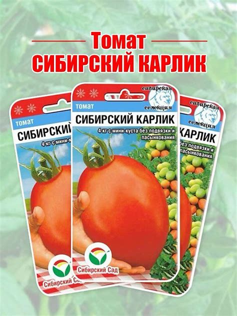 Томат "Сибирский карлик" от Агрофирмы "Сибирский сад" - YouTube