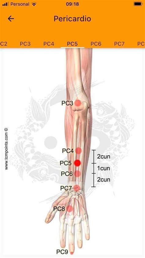 Pin by julia on Digitopuntura | Acupuncture, Acupuncture points ...