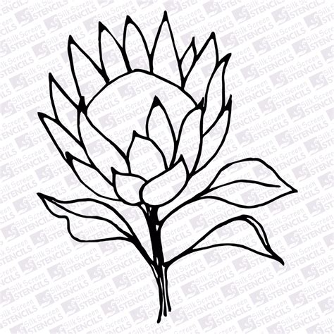 Protea Outline 4 Silkscreen Stencils Protea Art Silkscreen Protea