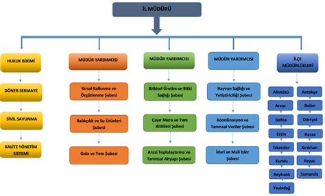 Organizasyon Şeması