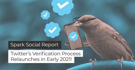 Twitter Verification Process 2021 Spark Growth