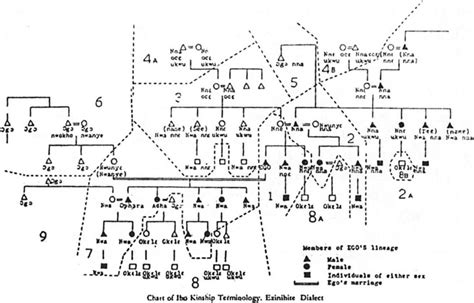 Standard Igbo Family Tree