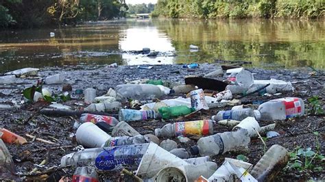 Petition · Increase Recycling in Georgia by Passing a Bottle Bill - United States · Change.org