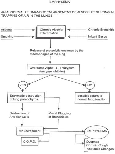 Copd Flashcards Quizlet