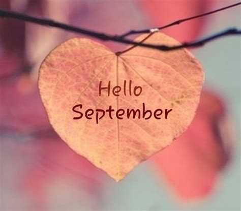 Hello September Heart Leaf Heart In Nature Hello September Heart Shapes