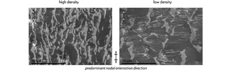 Scanning Electron Microscopy Images Of The Top View Of The Ptfe Light