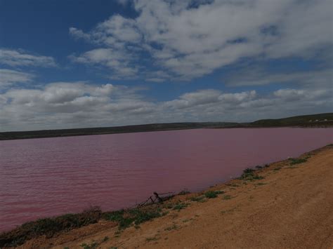 Pink lake | Pink lake, Lake, Sunset