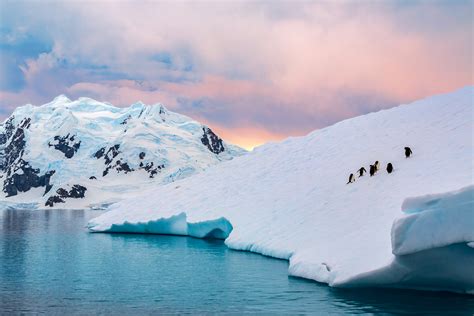 Antarctic Landscape With Penguins