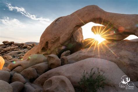 📸 Joshua Tree Photography Best Spots For Night Sunset And Sunrise