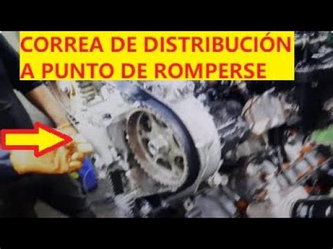 Distribuci N Mal Hecha En Poco Tiempo Habr A Roto El Motor Hdi