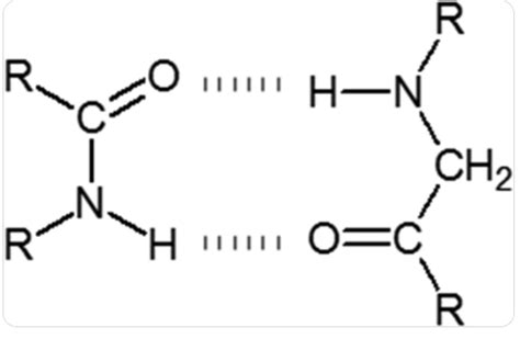 Why amides and carboxylic acids have higher boiling point?