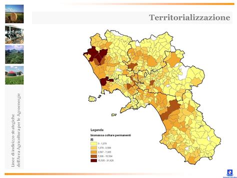 Linee Di Indirizzo Strategiche DellArea Agricoltura Ppt Scaricare