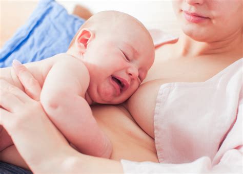 12 Tips For When Baby Is Refusing The Breast Arlie Hastings Lactation