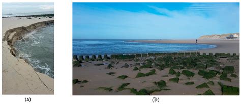 Watching the Beach Steadily Disappearing: The Evolution of