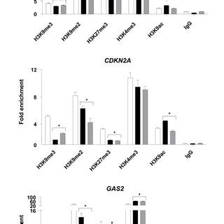 DNA methylation analysis of tumour suppressor genes by bisulfite ... 