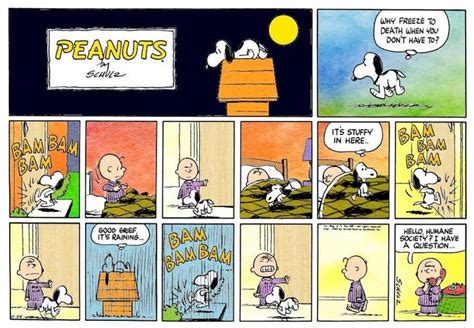 Pin By Con Tucker On Peanuts Charlie Brown And Snoopy Snoopy Peanut