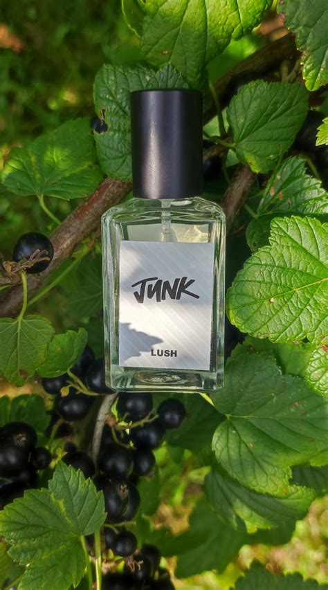 Junk Lush perfume - a fragrance for women and men 2019