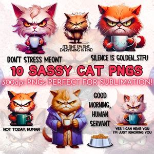 Sassy Cats PNG Designs, Funny Cats Clip Art Sublimation PNG Bundle ...