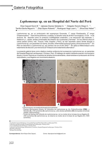 PDF Lophomonas sp en un Hospital del Norte del Perú