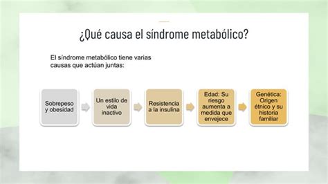 Sindrome Metabolico 2 Pptx Descarga Gratuita