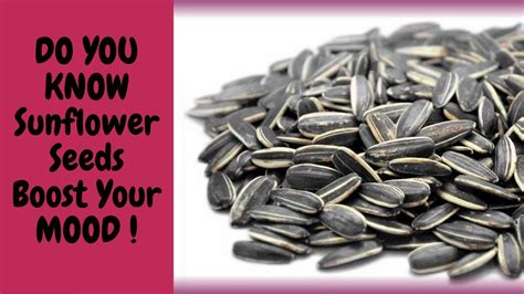 Sunflower Seeds Fight Cancer Dried Sunflower Seeds Nutrition Facts