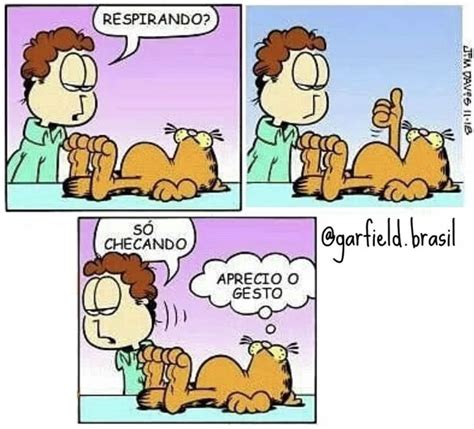 Pin De Janete Em Garfild Quadrinhos Garfield Tirinhas Em Quadrinhos