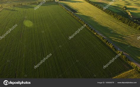 Fotografia Aérea Do Campo Ao Pôr Do Sol Fotos Imagens De