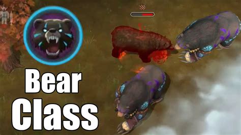 Everything You Need To Know About The Class Update And Bear Class