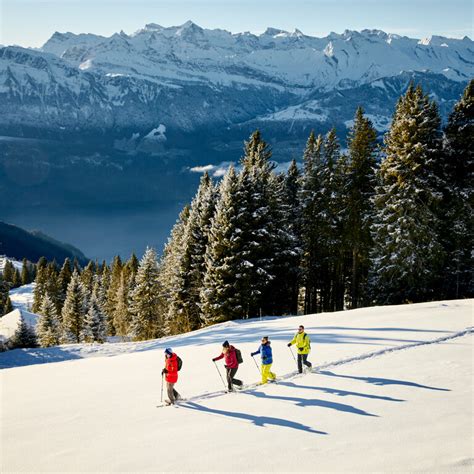 Besuch Auf Der Rigi Im Winter Park Hotel Vitznau