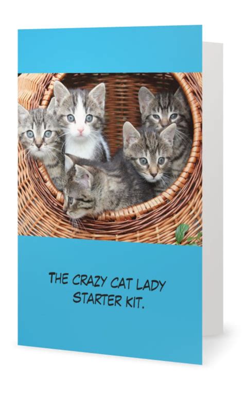 Crazy Cat Lady Starter Kit Envelope