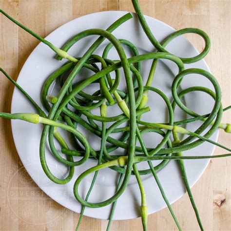 garlic scapes   choose  cook