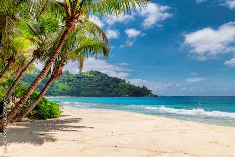 Beautiful Beach With Palms And Turquoise Sea In Jamaica Island Stock