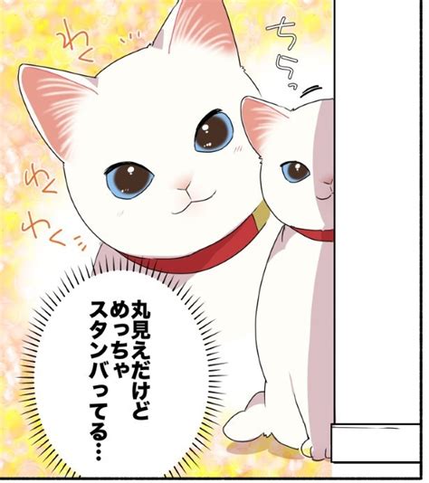 ＜画像10 11＞【ネコの怪談 】恐怖 …いや、かわいすぎて震える “猫あるある”な真夏の怪談に胸バクバク 【作者に聞く