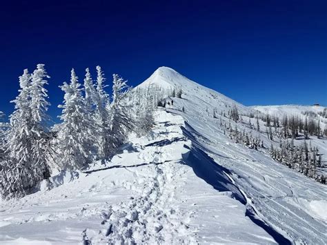 Wolf Creek Ski Area: Ultimate Locals Guide to Ski Southwest Colorado