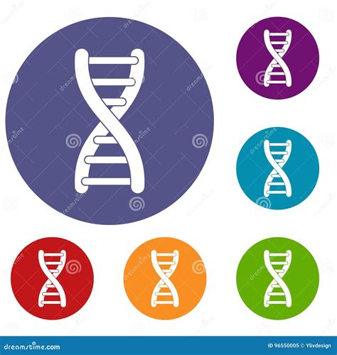 Iconos Del Filamento De La DNA Fijados Ilustración del Vector