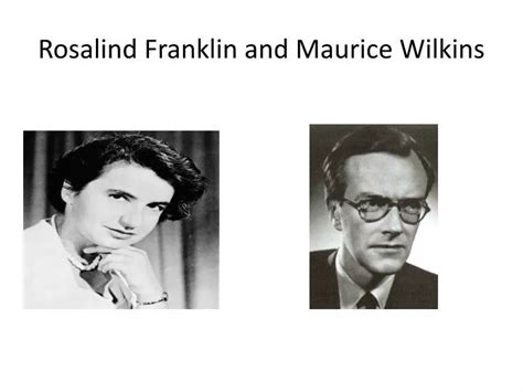 PPT - Rosalind Franklin and Maurice Wilkins PowerPoint Presentation, free download - ID:5376371