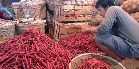 Harga Cabai Dan Sayur Kembali Normal Merdeka