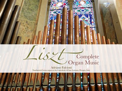 Liszt Complete Organ Music Box Set Adriano Falcioni