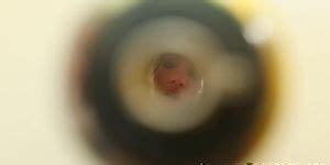 Clothed Glam Babe Spunked Tnaflix