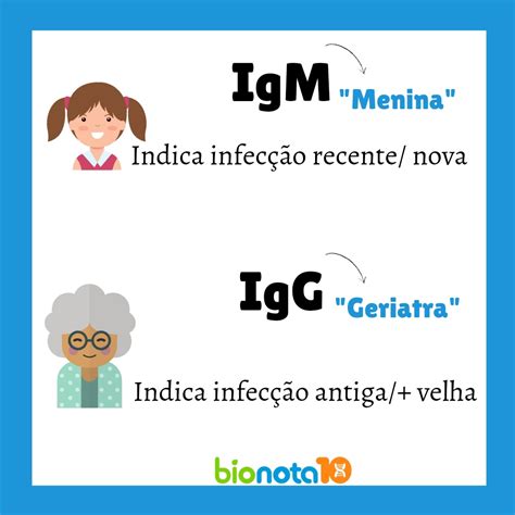 Igg E Igm Diferenca - O que são anticorpos IgM e IgG? | Bio Nota 10