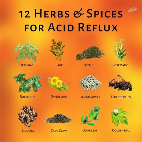 Acid Reflux - NaturallyRawsome