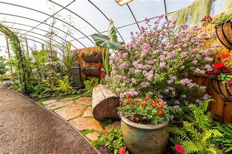 Butterflies at Chatfield Farms | Denver Botanic Gardens